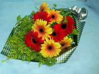 Ankara ieki dkkanmzdan Kark gerbera iekleri buketi