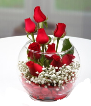 Cam fanus i�erisinde 9 adet k�rm�z� g�l Ankara �i�ek sipari�i vermek