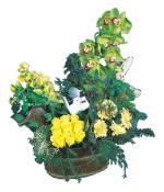 1 dal kesme orkide �i�e�i ve k�r �i�ekleri sepeti Ankara �i�ek�ilik g�rsel �r�n modeli 