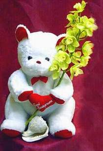 1 dal kesme orkide �i�e�i ve orta boy oyuncak Ankara �i�ek g�nderimi site �r�n�m�z